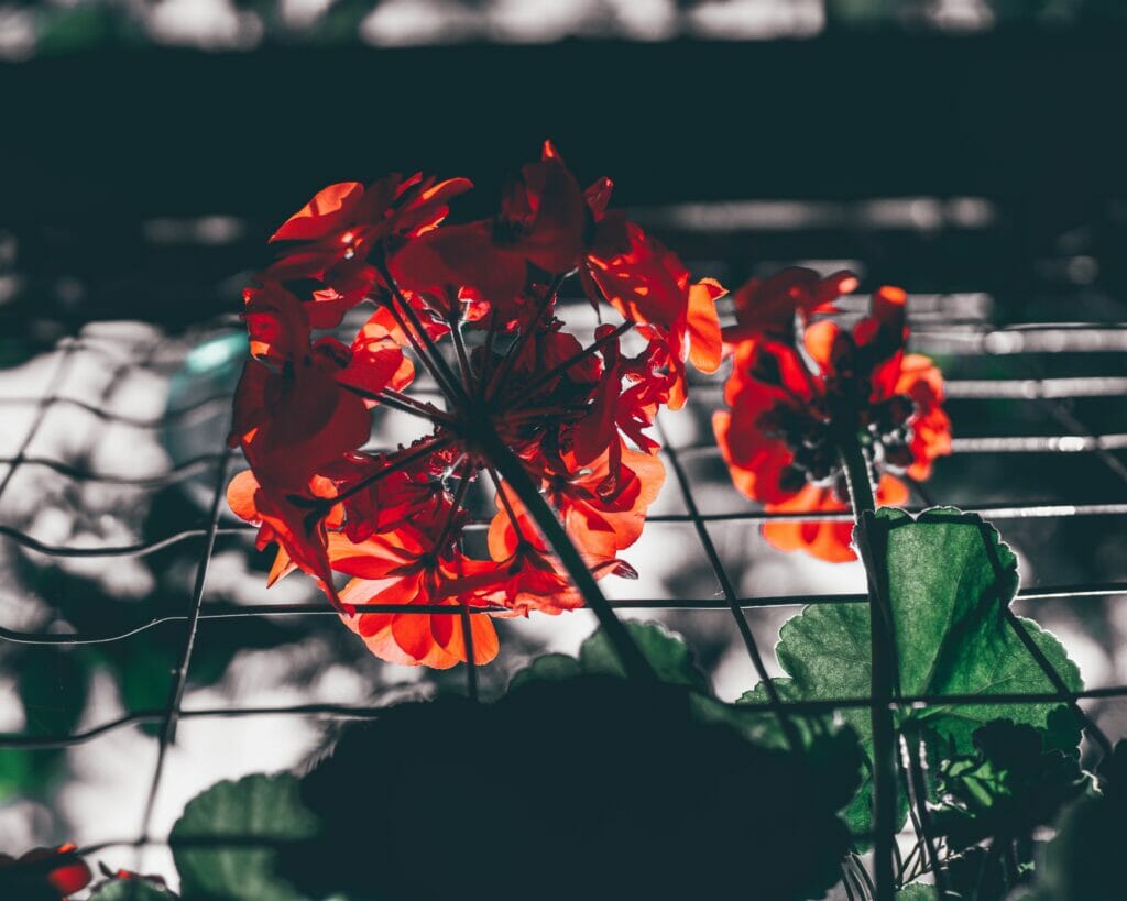 Amol Tyagi Cqwxkdw0eeo Unsplash