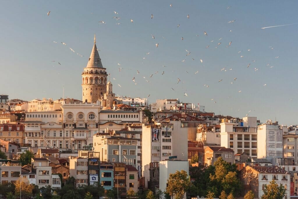 Anna Berdnik 0n0ahb1fgtq Unsplash