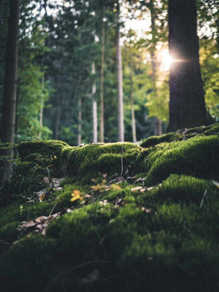 Fabian Wiktor E Impayqv1s Unsplash