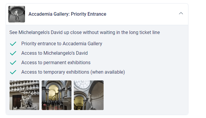 Florence Pass Accademia Gallery: Priority Entrance