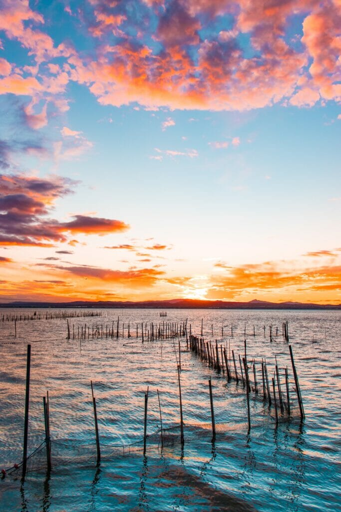 Jaser Cervantes Ngmxifebxyy Unsplash