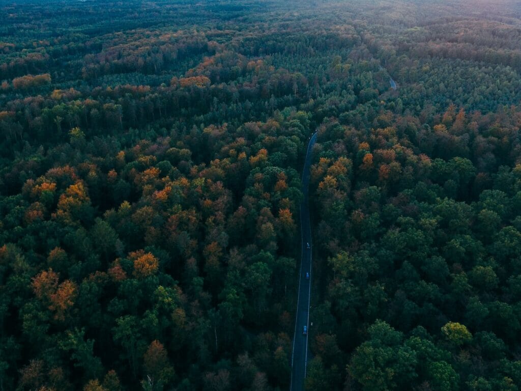 Things to do in Black Forest Germany
