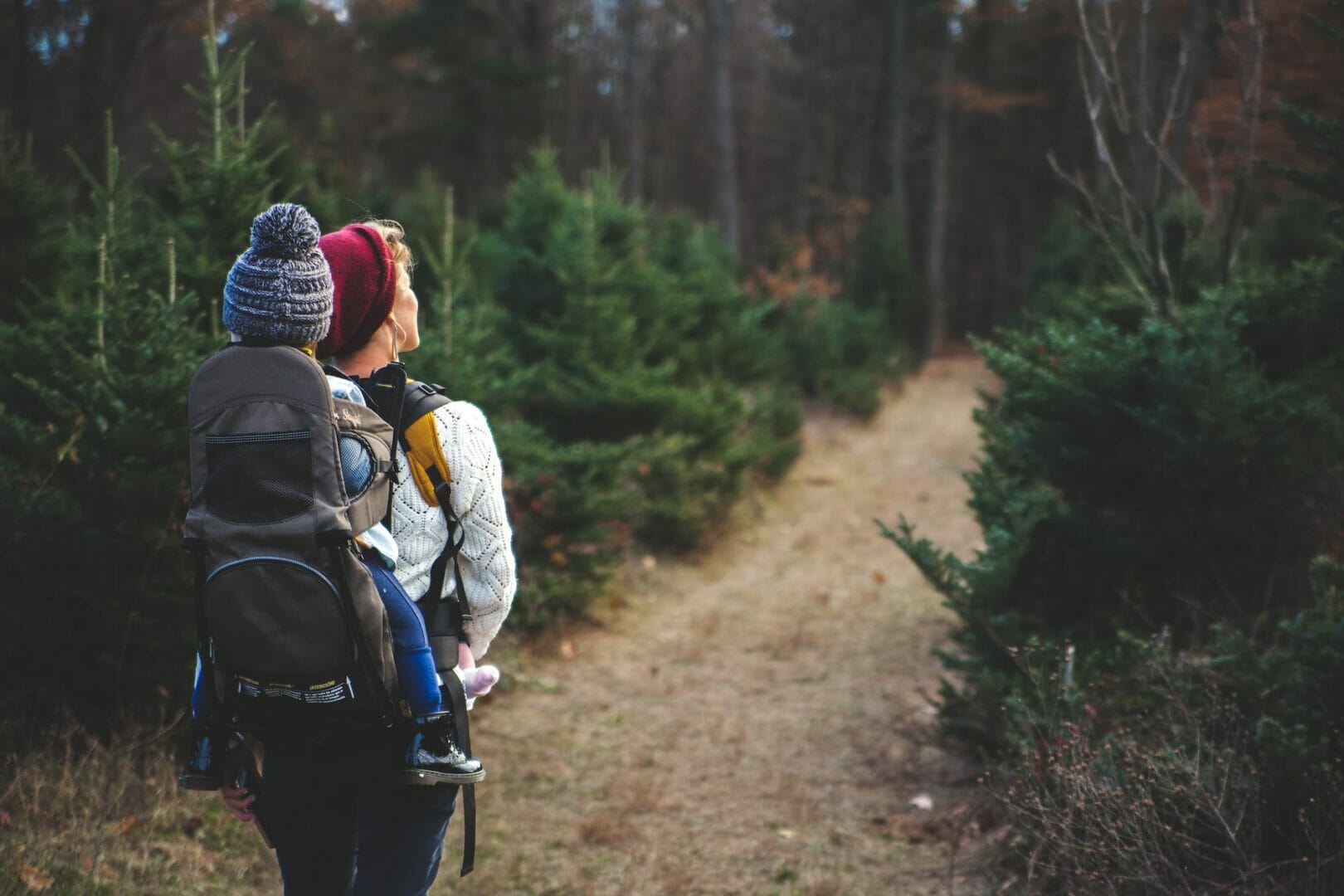Things to do in Black Forest Germany - Hike through the forest.
