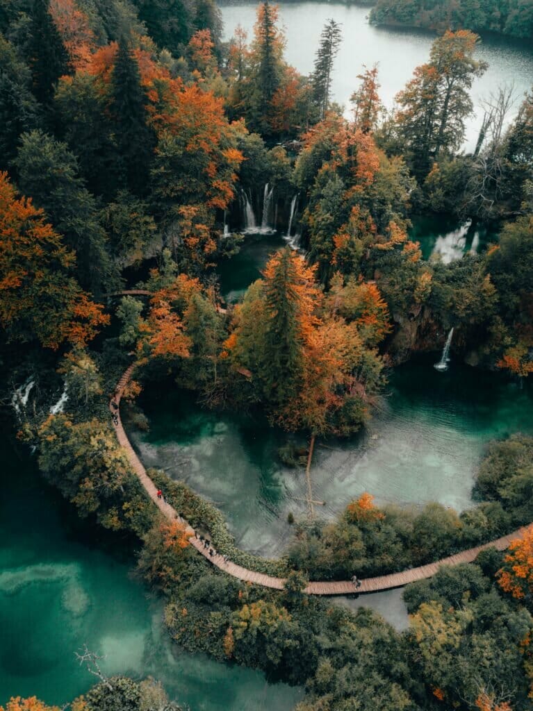 Peter Jan Rijpkema Wi6o8owuwdw Unsplash