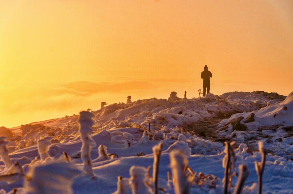 Sylwia Bartyzel Qawnubccsc4 Unsplash