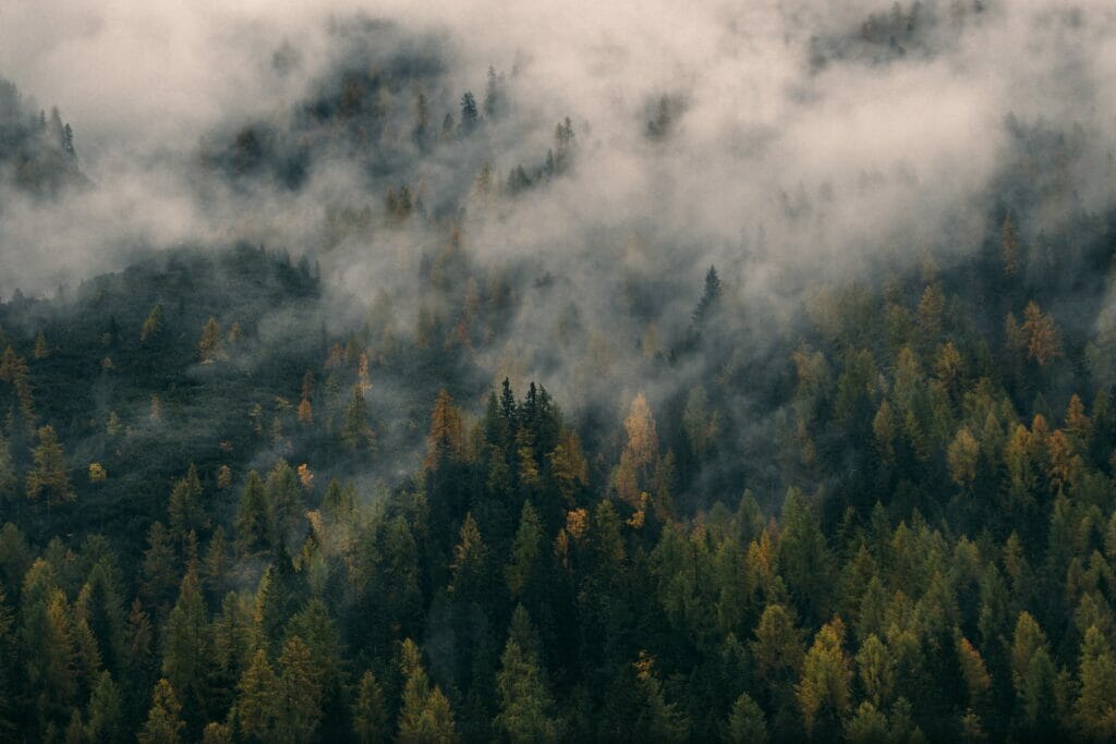 Vadim Sherbakov Nqswvyvrijk Unsplash