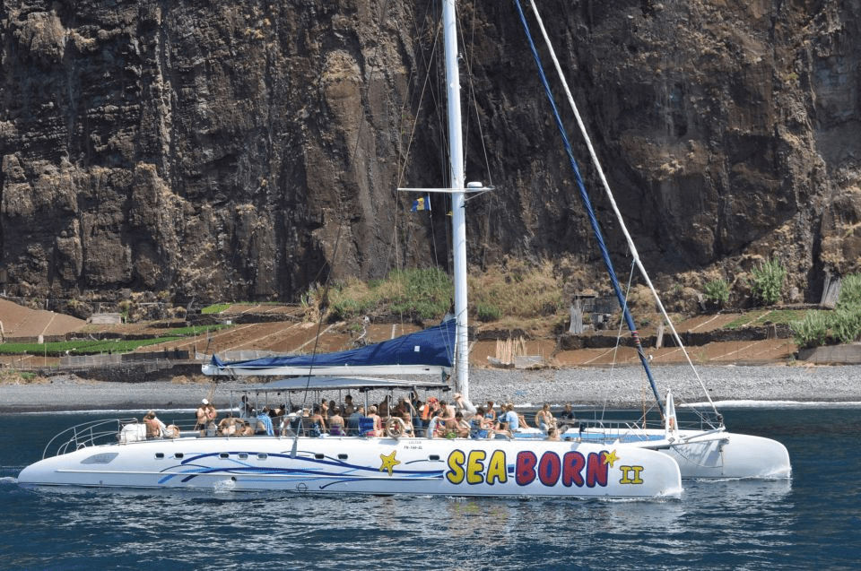 Top 20+ Things to Do in Madeira Portugal - Go Whale Watching