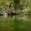 Singen Germany 2