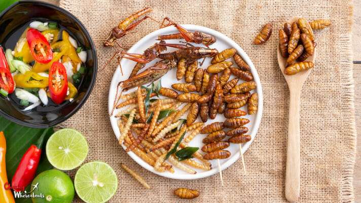 8 weirdest things I have eaten around the world