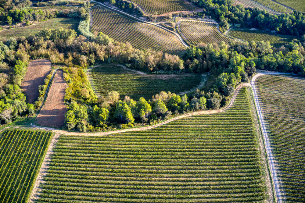 >- - Day trip to Penedes Wine Country, Catalonia from Barcelona