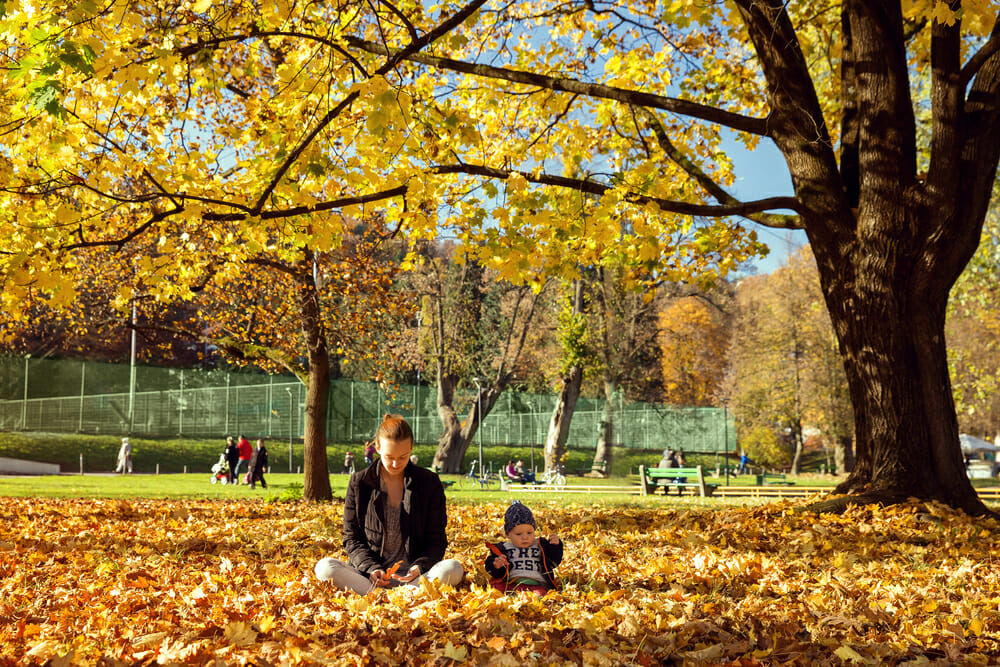 14 Best Things to Do in Ljubljana, Slovenia: A Perfect Day in the Capital - Tivoli Park: Green Sp...