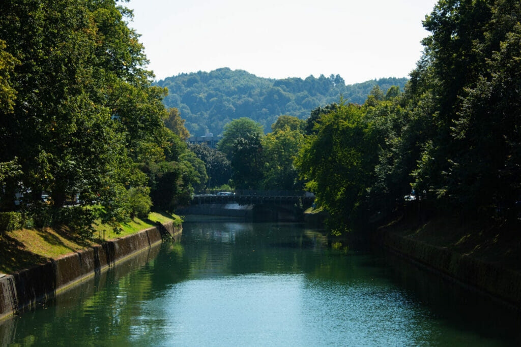Image 1 1