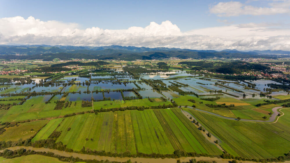Best Free Things to Do in Ljubljana Slovenia - Explore the Ljubljana Marshes Nature Reserve