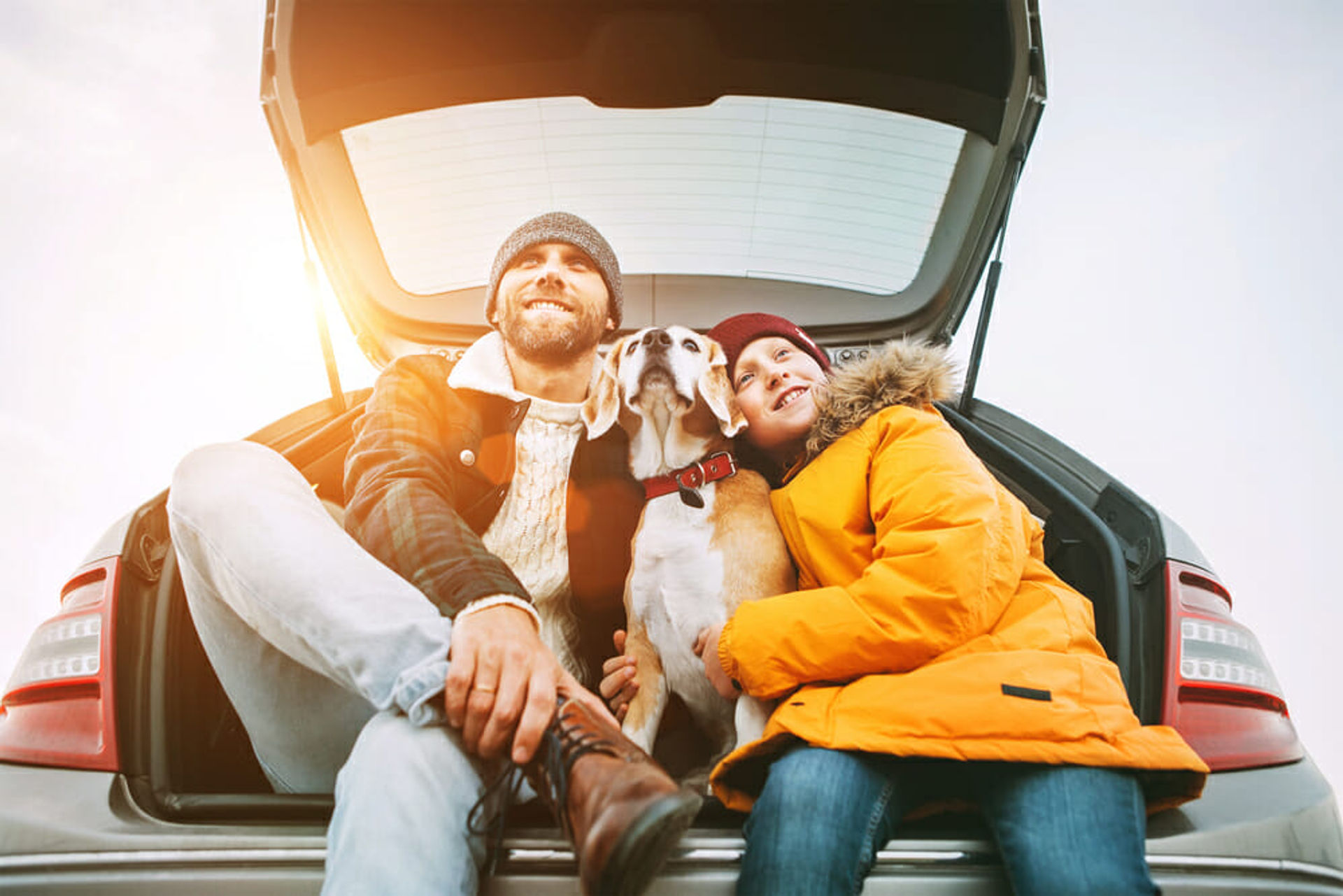 Paws and Papers: Navigating Health Certificate Requirements for Traveling Pets