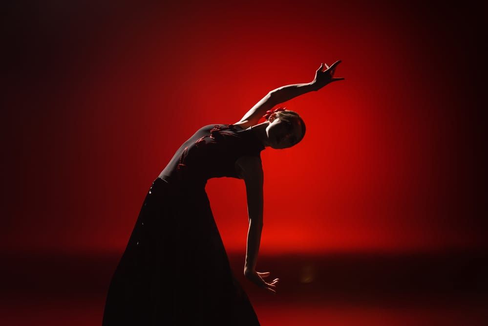 Flamenco Madrid Spain In Winter