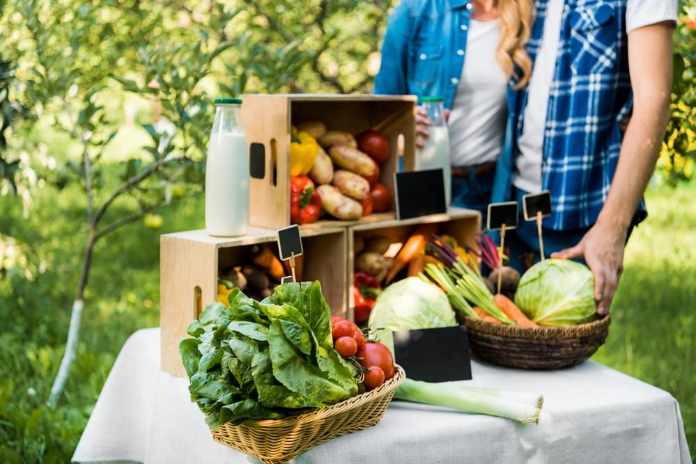 Fresh Food Market In Rotterdam Netherlands