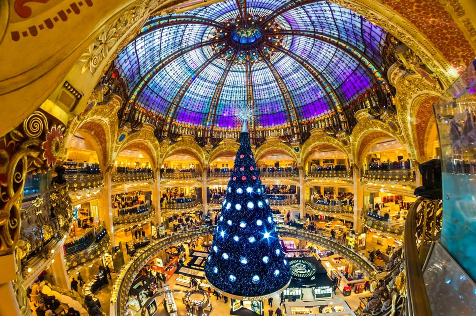 Paris in Winter: Best Things to Do in Paris For Christmas