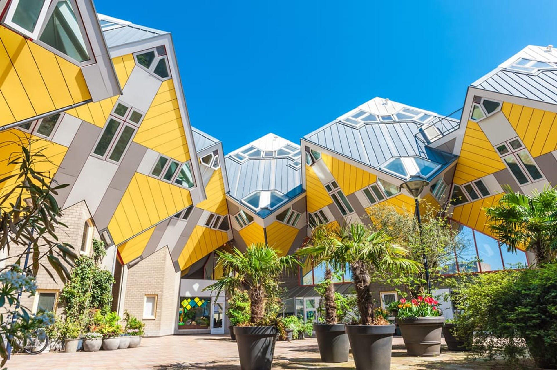 The Best Things to Do in Rotterdam Netherlands on Your Trip