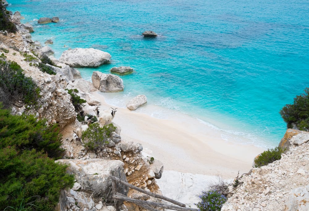 Best Sandy Beaches In Europe Clara Gloritz Sardinia