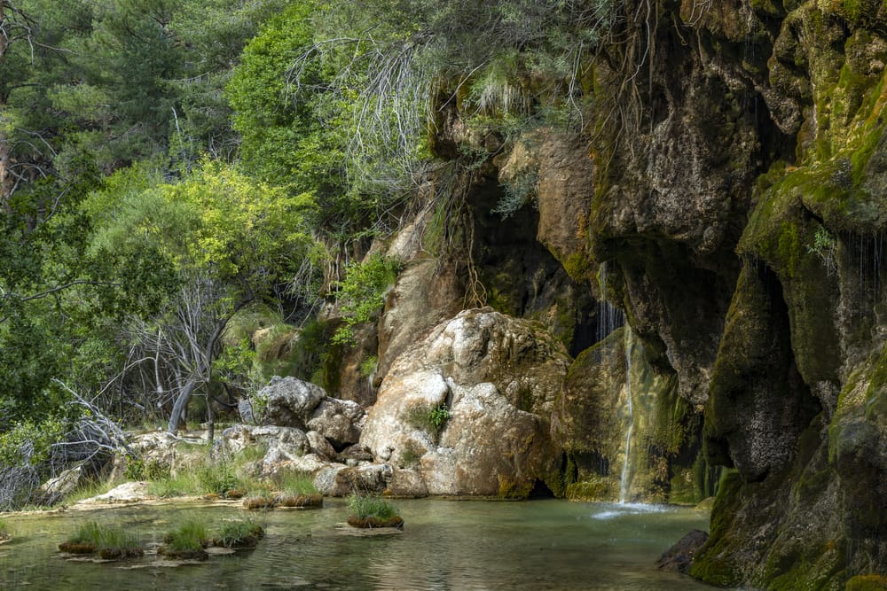 Nacimiento Del Rio Cuervo