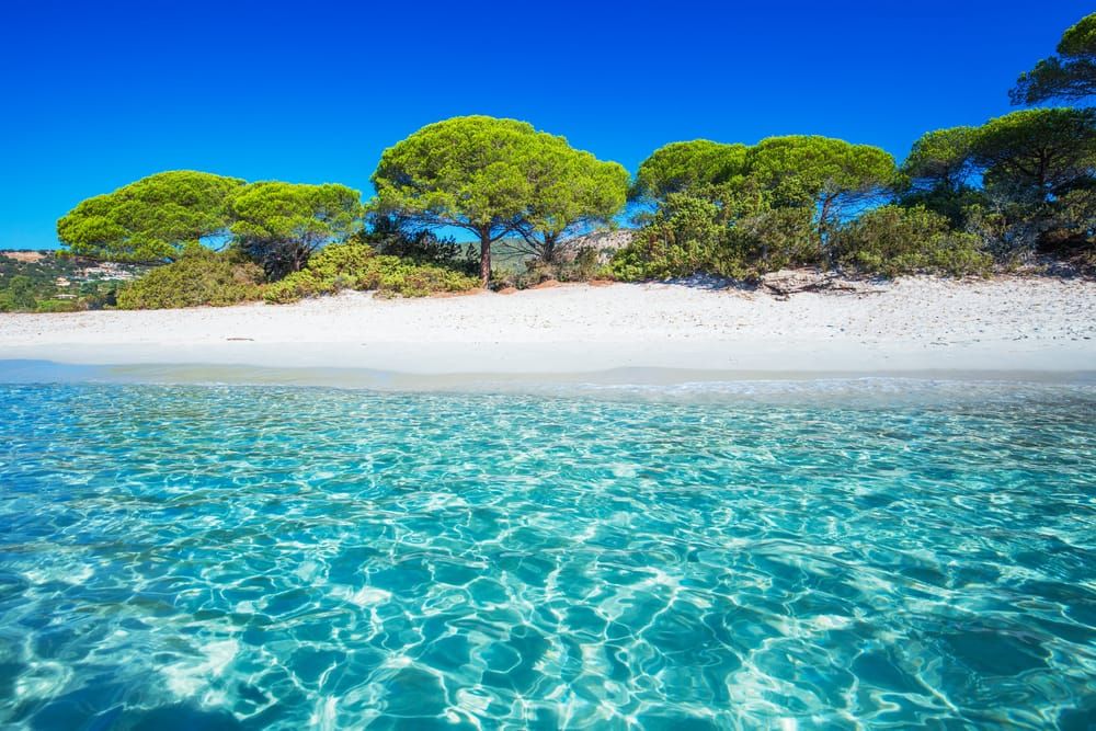 Plage De Palombaggia
