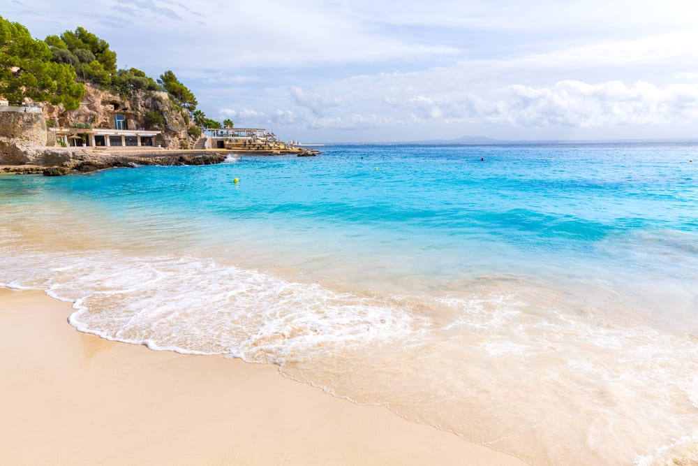 Playa De Ses Illetes Mallorca