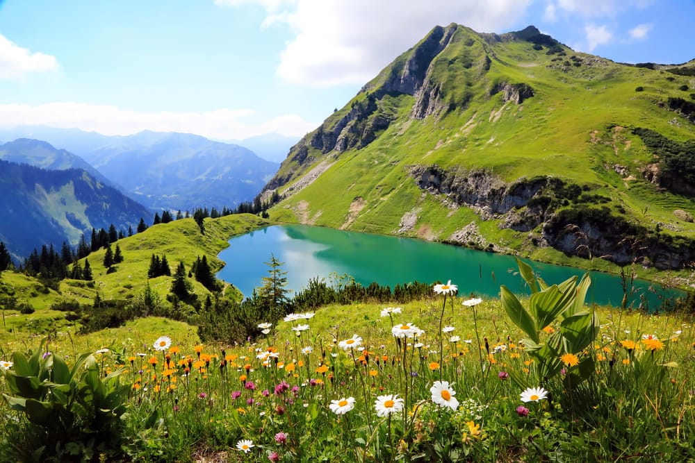 The Bavarian Alps