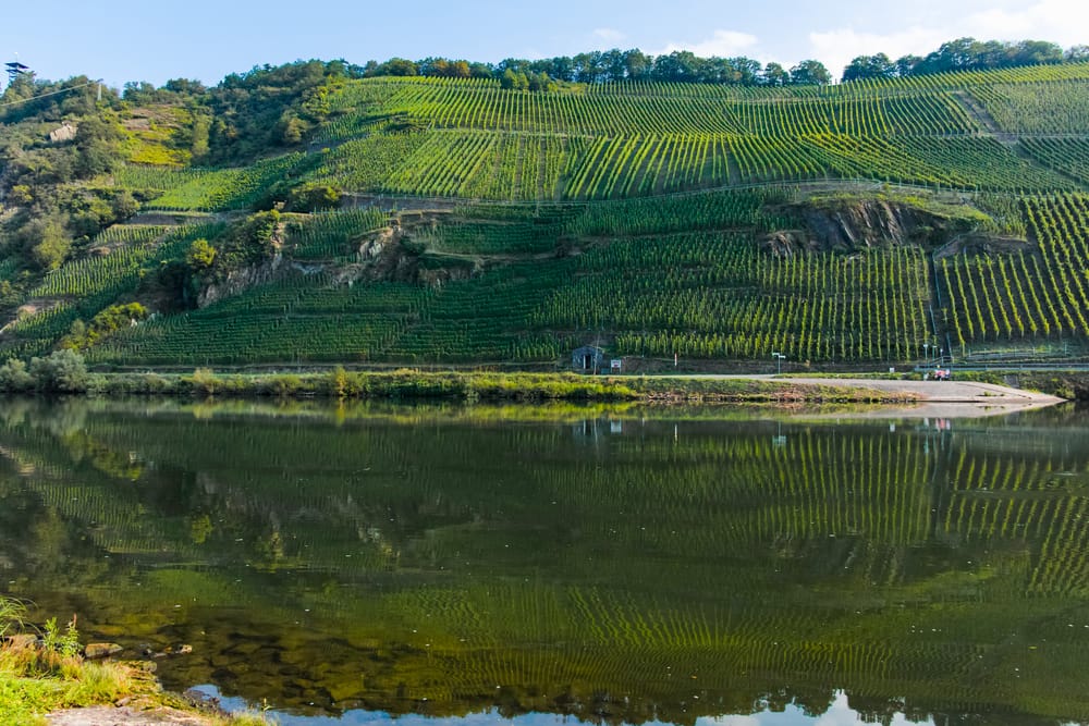 The Moselle Valley