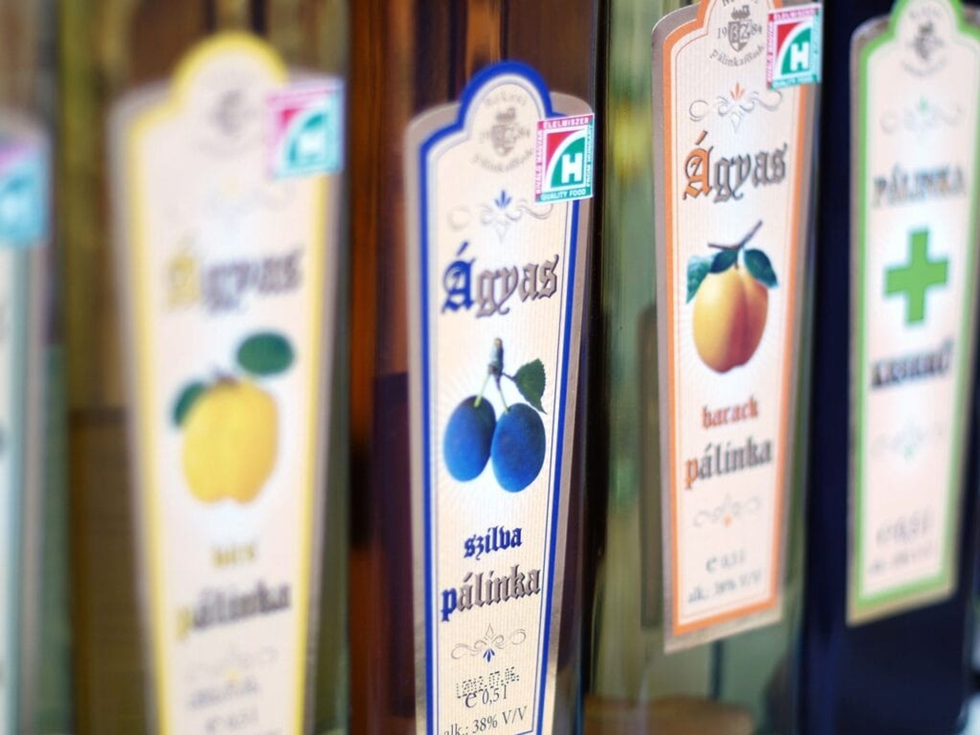 Cheers in Hungarian: How to Say egészségedre ( +Audio )