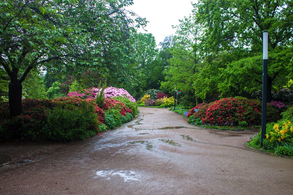 Planten Un Blomen Park Hamburg