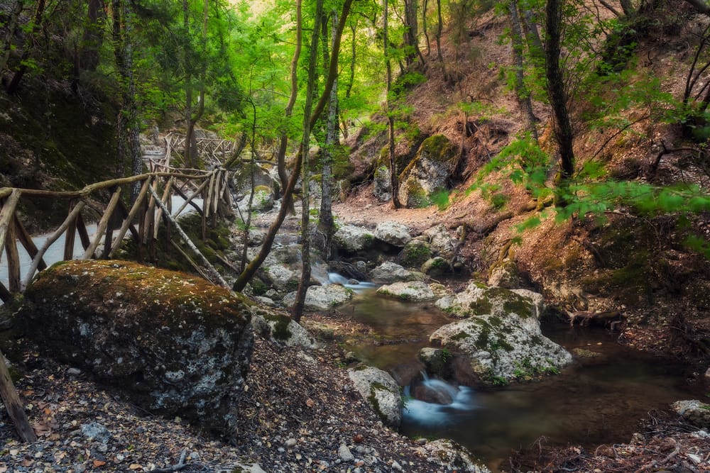 Natural Reserve In Petaloudes