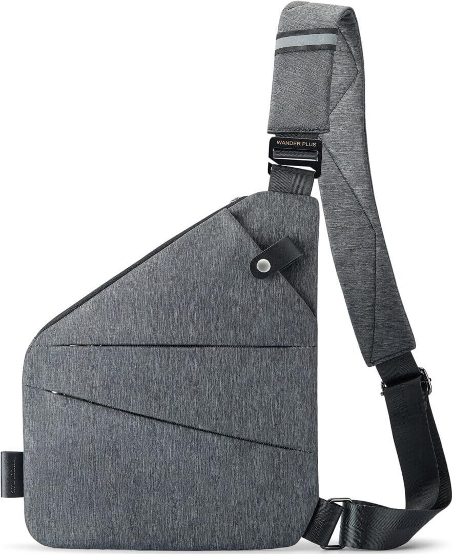 Travel Purse For Europe 1