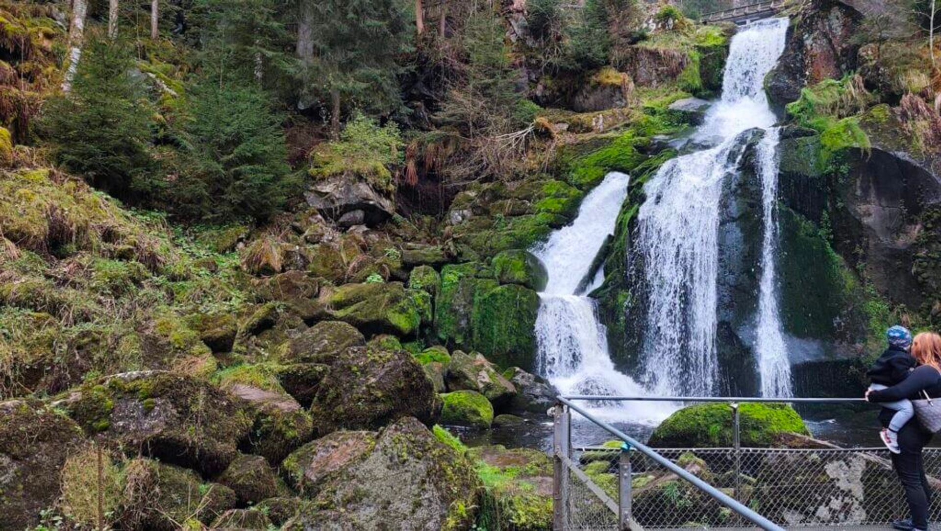 Triberg in the Black Forest Germany Guide: Cuckoo Clocks and Waterfall