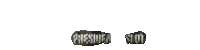 PRESIDENSLOT