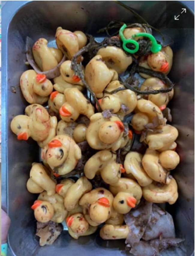 hayvan oyuncakları