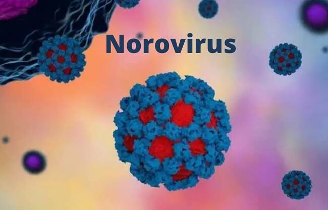 norovirüs tehlikeli mi