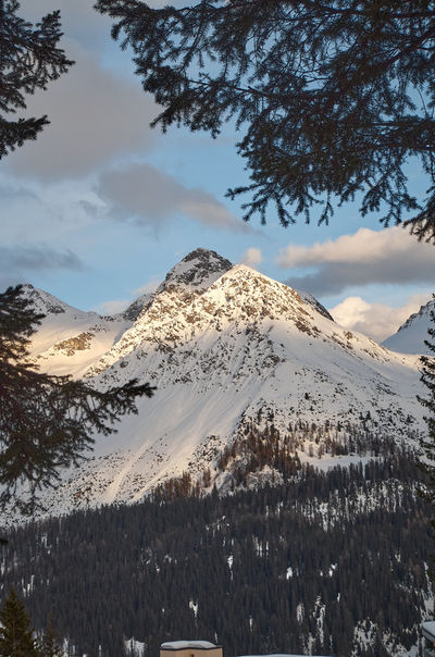 Skiing in Arosa, Swiss Apls, Switzerland