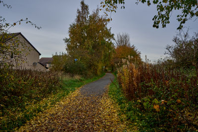 The road is covered in fall leaves as it passes by buildings and trees.