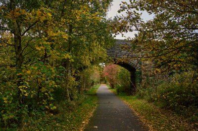 The road goes under a bridge along its way through the autumn park