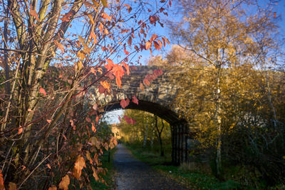 Bright autumn landscape with golden trees and blue sky in countryside