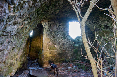 Barnes Castle, East Lothian, Scotland