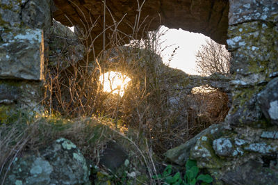 Barnes Castle, East Lothian, Scotland