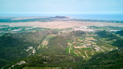 Breathtaking aerial view of vineyards and mountains with ocean, town, and forest. Panoramic nature's beauty at its finest.