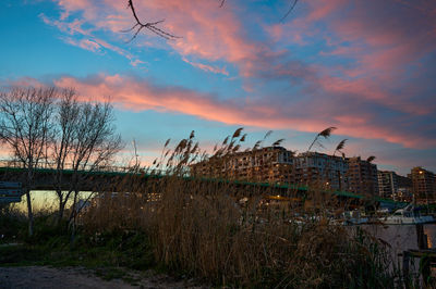 Captivating pastel tones paint the sky, creating a dreamlike atmosphere. A lone cyclist pedals under a serene bridge as pink clouds stretch across the vibrant blue expanse. Tranquil and surreal.