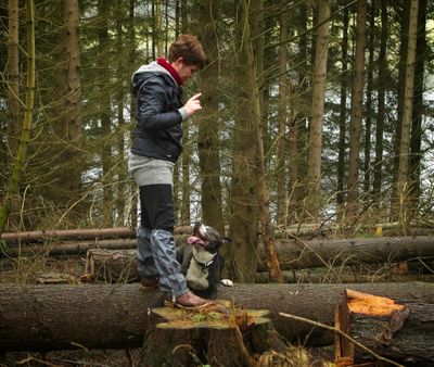 In a pine forest. A person and a dog on a fallen tree, other trees behind