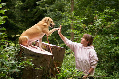 Dog Plant Carnivore Dog breed Tree People in nature