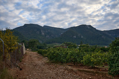 Muntanyes de Favara (Mountains of Favara)