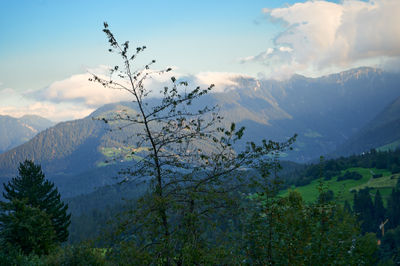 A mountain landscape - Swiss Alps