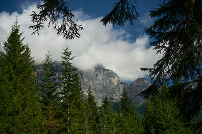 A mountain landscape - Swiss Apls