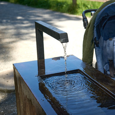 A water feature in alpine forest